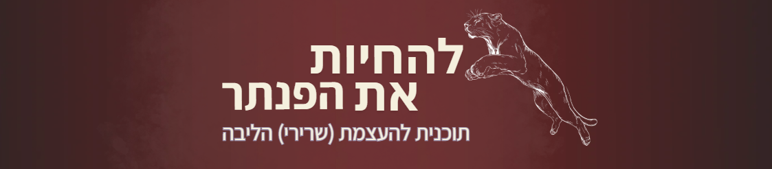 -באנר-דק.png